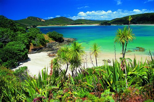 Northland and Bay of Islands Attractions