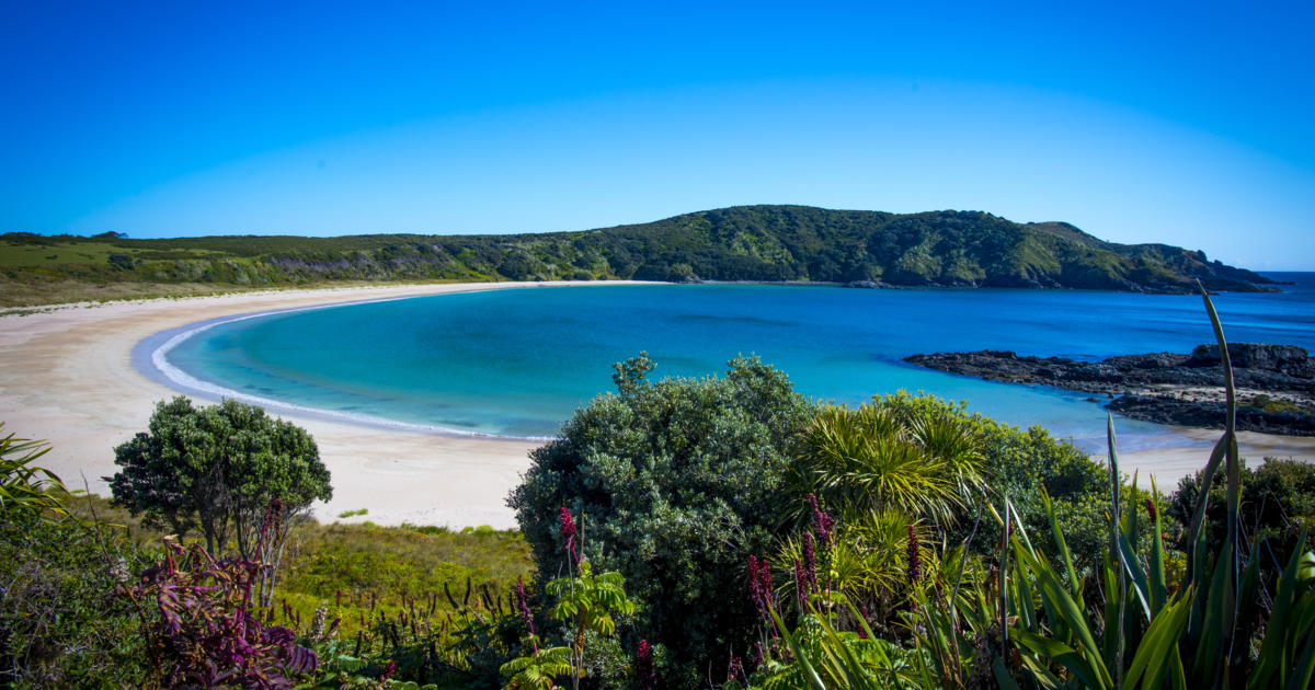 New Zealand's best beaches | 100% Pure New Zealand