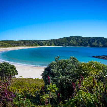 Maitai Bay, Northland