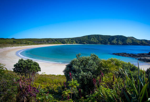 Ask any Kiwi what their favourite beach is, and they'll all have a different answer. From north to south, here's a few of the many, many New Zealand beaches.