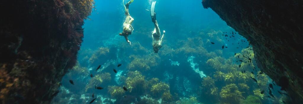 Float over a Marine Reserve on Poor Knights Islands, one of the top diving locations in the world.