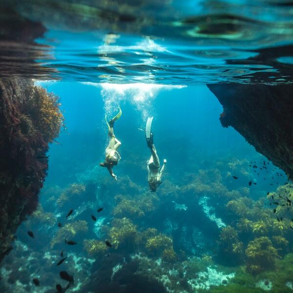Float over a Marine Reserve on Poor Knights Islands, one of the top diving locations in the world.