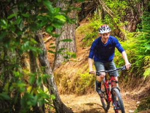 Waitangi Mountain Bike Park