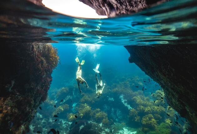 The Poor Knights Islands in Northland are one of the world’s top dive locations.
