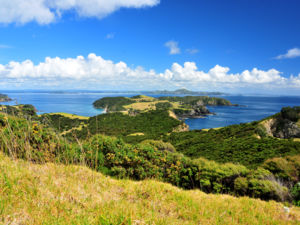 Urupukapuka Island is shaped like a five-fingered star.