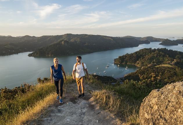 Von Küstenpfaden bis hin zu Waldwanderwegen und uralten Gletschern: Neuseeland bietet endlose kurze Wanderoptionen für alle Fitnesslevel.