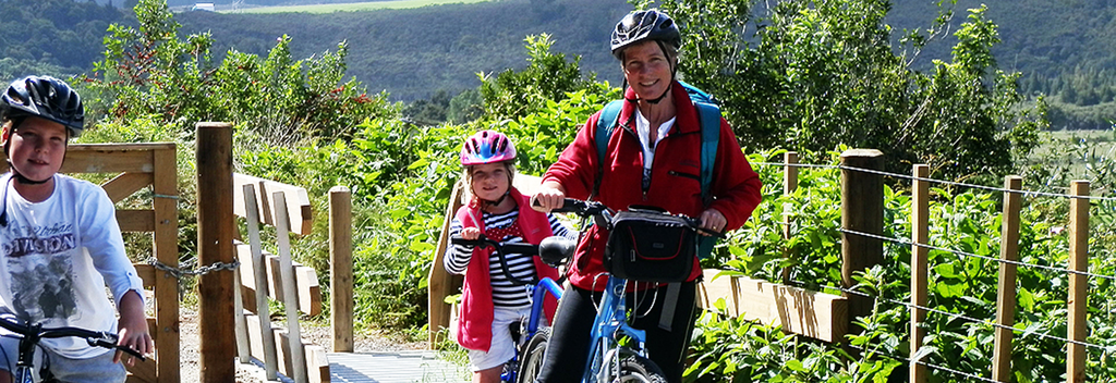 Okaihau is a great place to access the Twin Coast Cycle Trail
