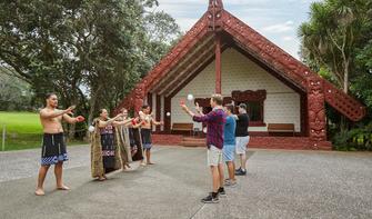 Waitangi Treaty Grounds, Northland