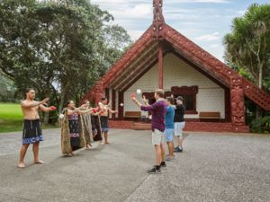 《怀唐伊条约》（The Treaty of Waitangi）是新西兰的建国文件。这一历史事件的签订场所得到永久保护。游客可以听取多媒体信息讲解、参加导游观光并观看真人表演。