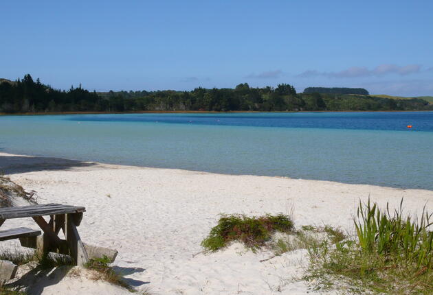 1870년대 유고슬라비아 이민자에 의해 형성된 다가빌은 재미있는 역사를 지닌 리버타운.