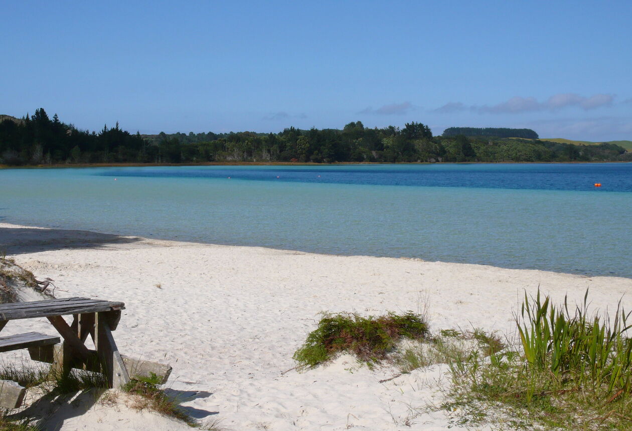 1870년대 유고슬라비아 이민자에 의해 형성된 다가빌은 재미있는 역사를 지닌 리버타운.