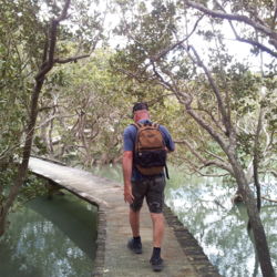 아름다운 트랙 즐기기