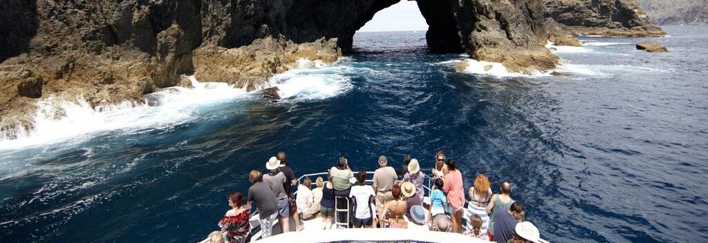 Escape the ordinary and head to Piercy Island, also known as The Hole In The Rock, in the Bay of Islands.