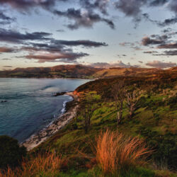 The Hokianga harbour in Northland