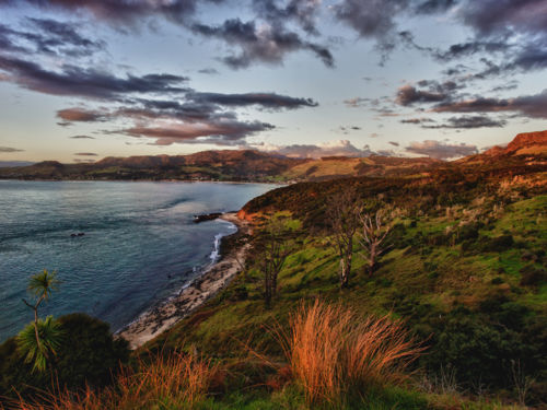The Hokianga harbour in Northland