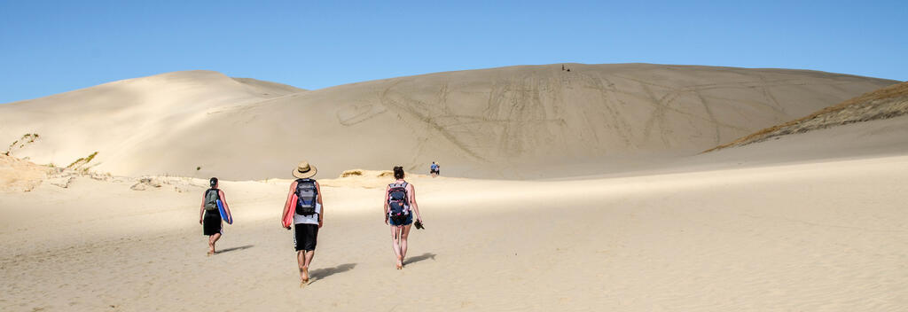 Boarding the epic sand dunes in Northland.