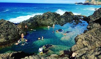 Relaxing in the Mermaid Pools, a hidden gem in the Northland &amp; Bay of Islands region - a coastal and cultural paradise.