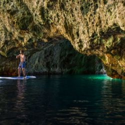 The Poor Knights Islands in the Bay of Islands are a precious biological gem, home to a variety of habitats.