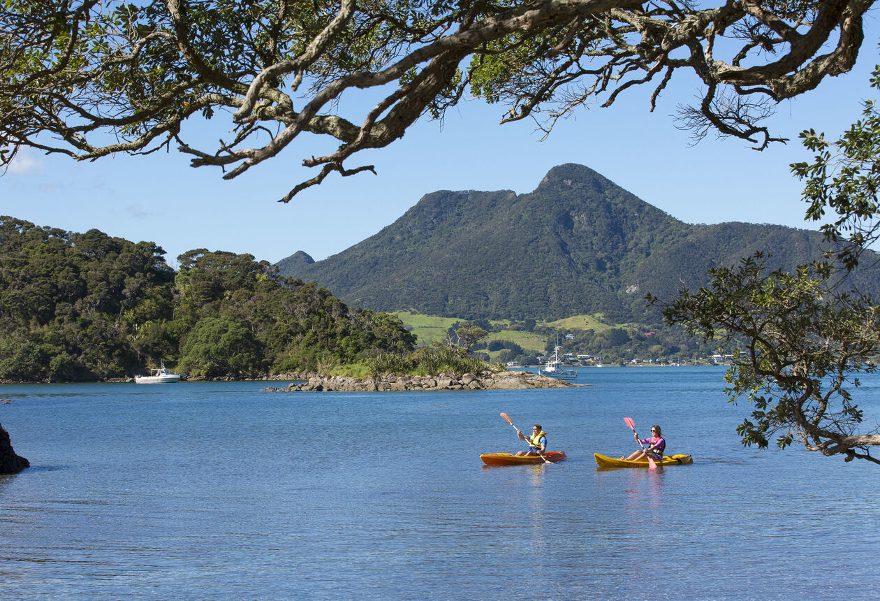 Whangārei Heads
