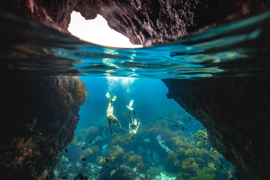 Dive into a marine reserve at Poor Knights Island