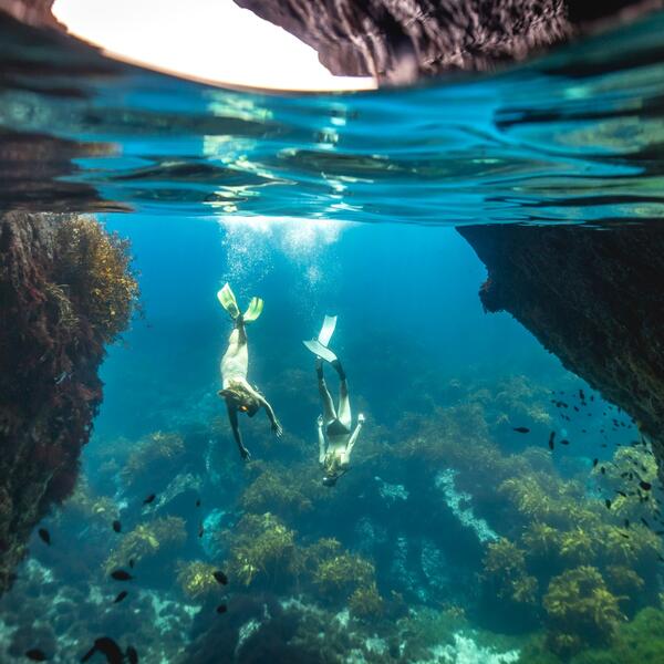 潜入水中，探秘海底瑰宝
