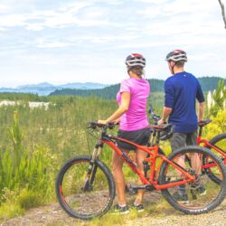 Waitangi Mountain Bike Park