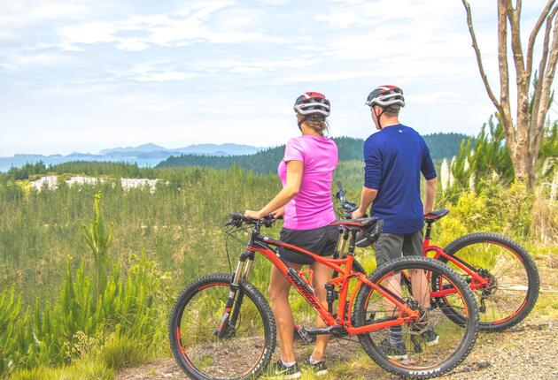 Located in one of New Zealand's most scenic spots, the Bay of Islands, there are trails for all abilities at the Waitangi Mountain Bike Park.