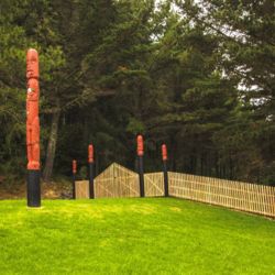 Waitangi Mountain Bike Park