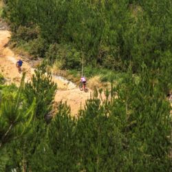 Waitangi Mountain Bike Park