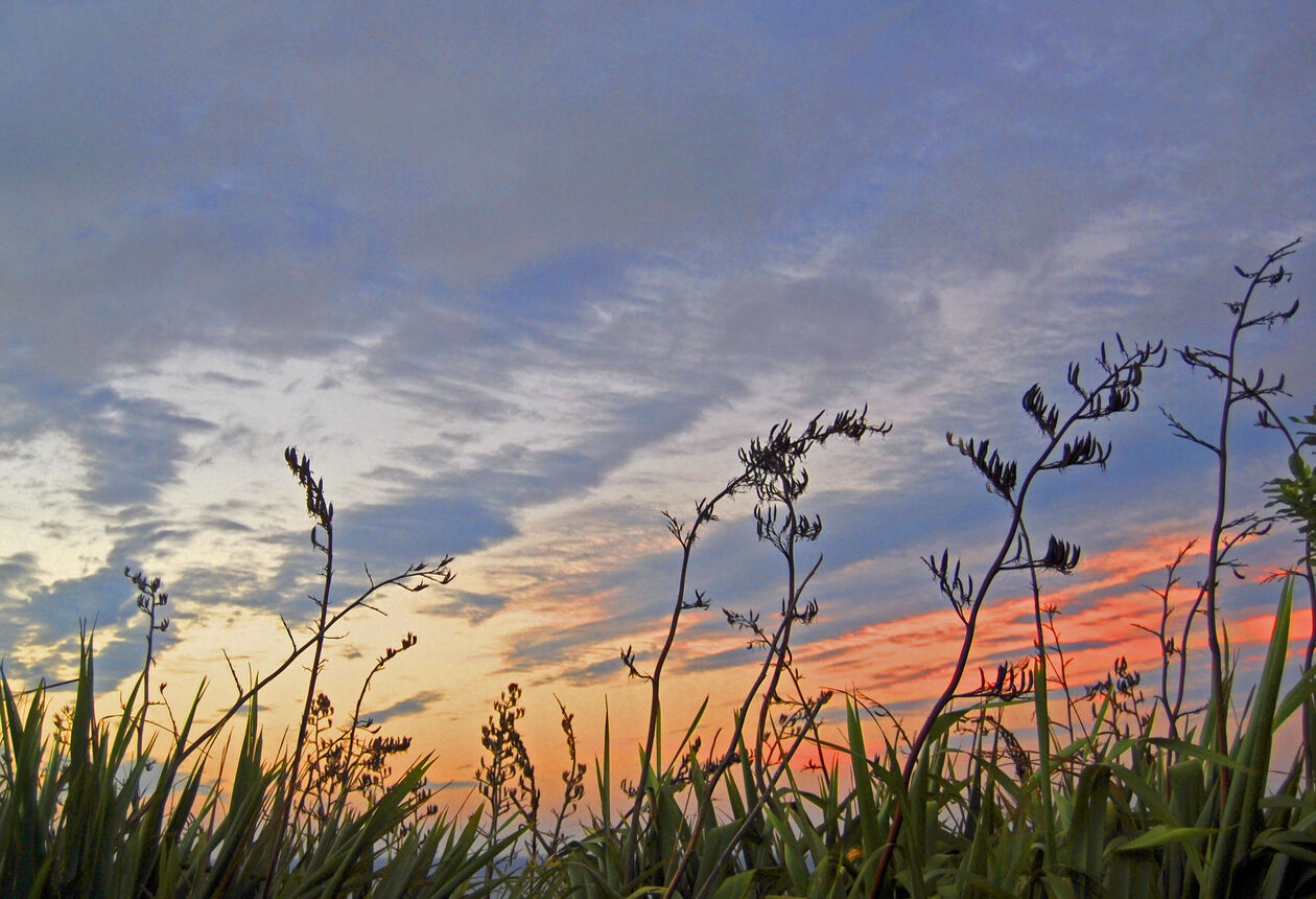 If you want to see a dramatic sunset, enjoy an evening walk along the beach at Ahipara. This town has a rich history and a big choice of activities.