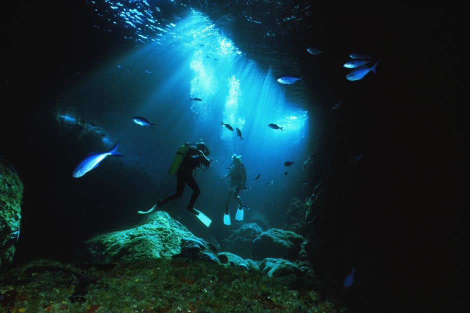 普尔奈茨（Poor Knights）绝妙的潜水体验。