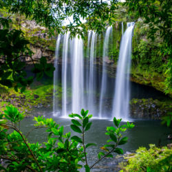 Rainbow Falls, Kerikeri
