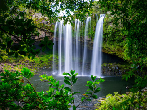 Rainbow Falls, Kerikeri