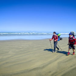 &#039;Das Walkers&#039; Ninety Mile Beach
