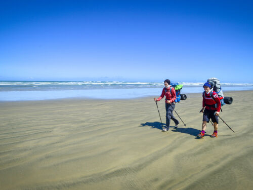 &#039;Das Walkers&#039; Ninety Mile Beach