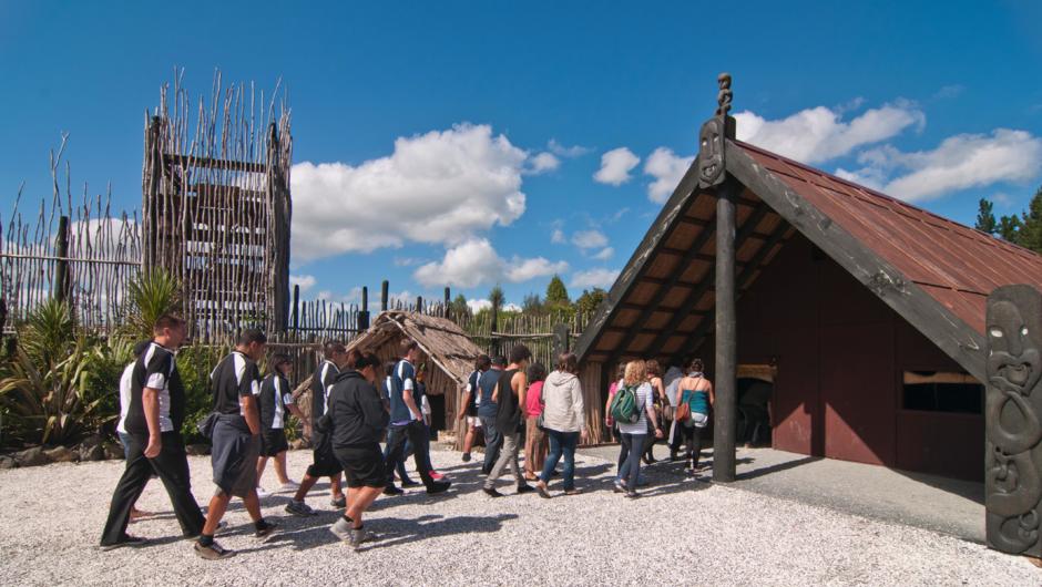 Hourly guided Maori village tours held daily