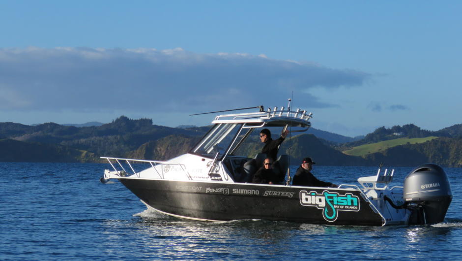 The Pacific Pirate, custom Surtees 650 Gamefisher