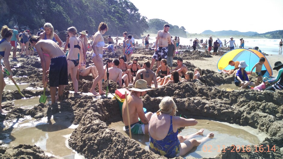 Whitianga hot water beach