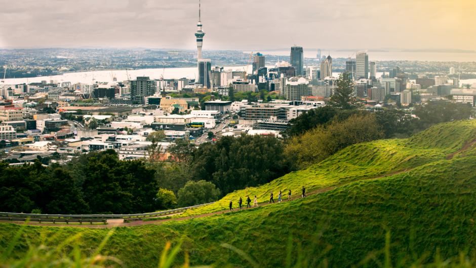 View across Auckland on a Tamaki Hikoi experience