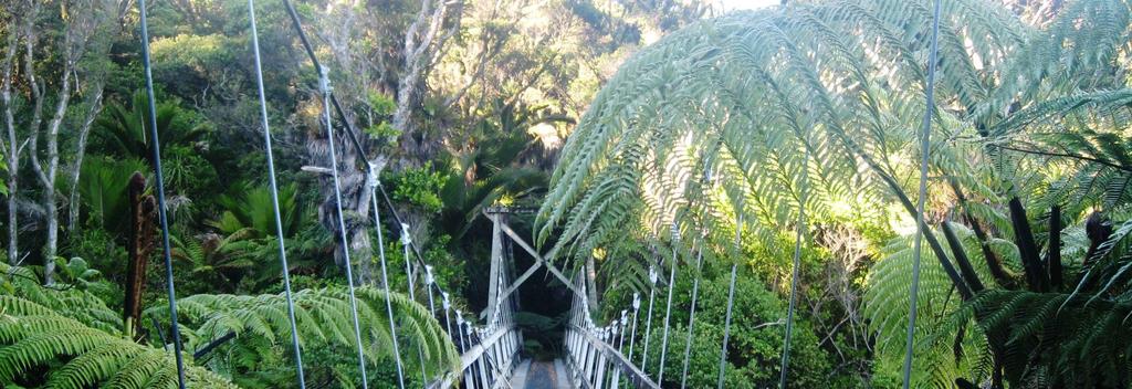 The Heaphy Track