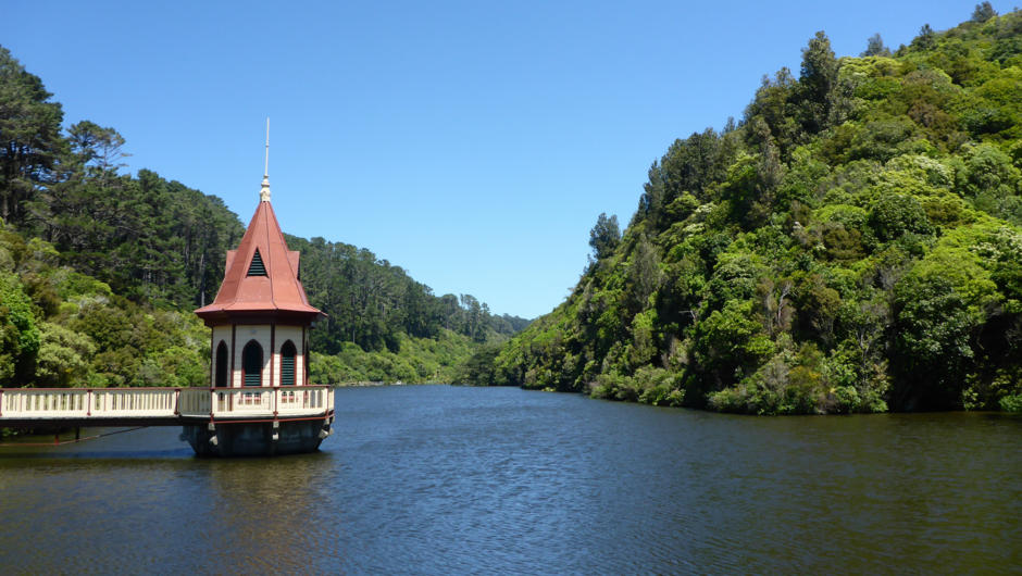 Explore beautiful Zealandia