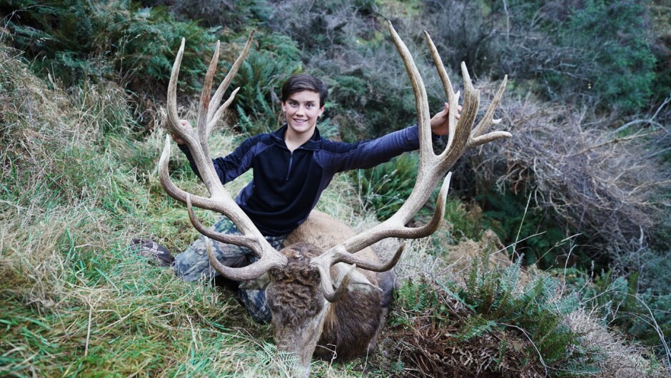 trophy Red Stag