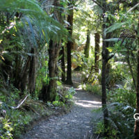 Waitakere Ranges