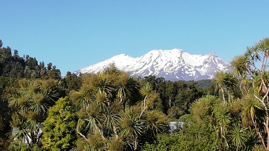 View of Mt Ruapehu from Rimu Park Mountain Lodge.