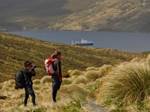 Visiting the Subantarctic Islands