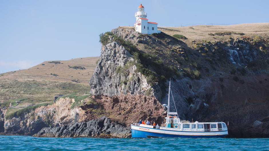 The one hour Wildlife Cruise travelling past the historic Taiaroa Head lighthouse.