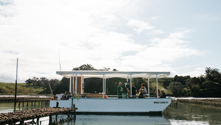 The "Shuckleferry" in the Farm