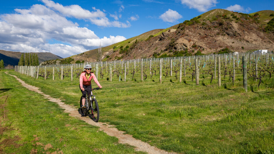 Biking the Wine Trail