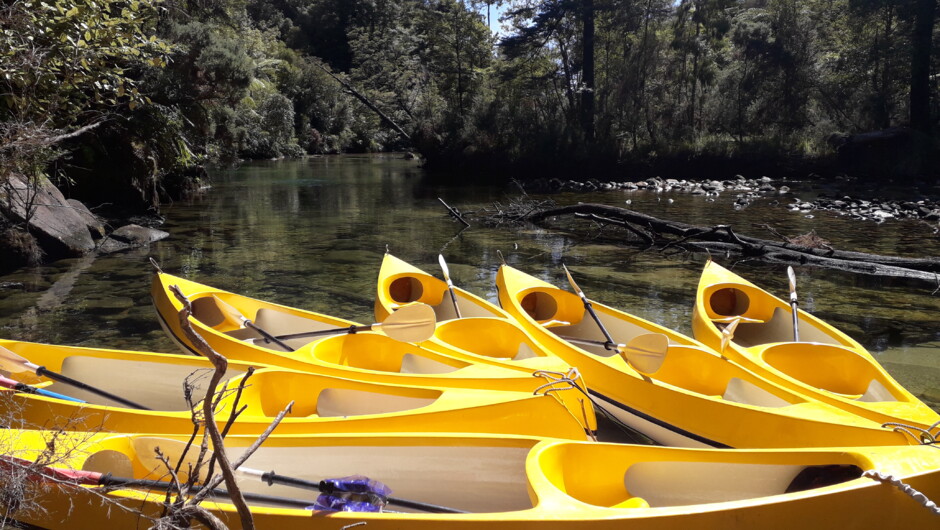Canoeing up Torrent River, Abel Tasman NP
