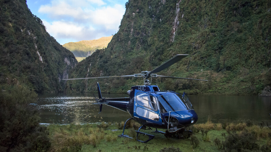 Campbell's Kingdom - Doubtful Sound